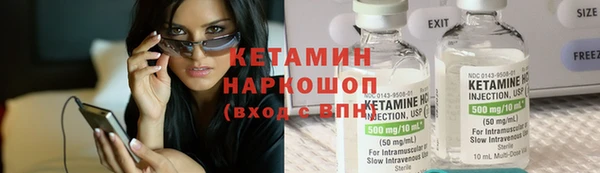прущие грибы Осинники