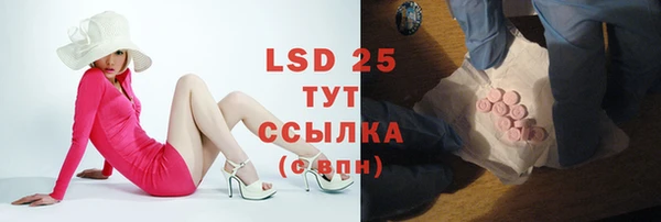 прущие грибы Осинники