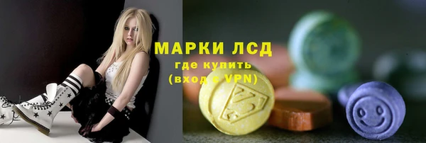 стафф Бородино
