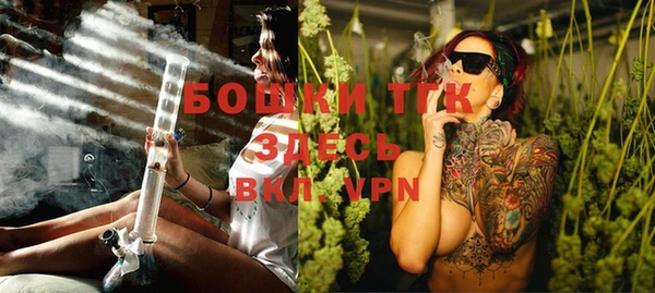 прущие грибы Осинники