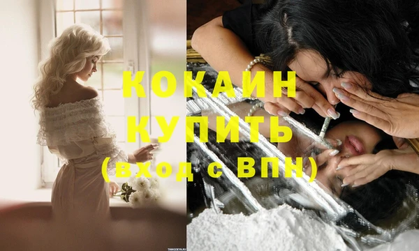 прущие грибы Осинники