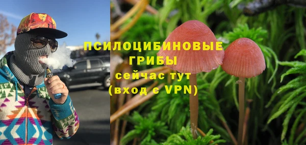 прущие грибы Осинники
