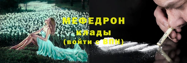 прущие грибы Осинники