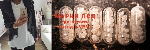 прущие грибы Осинники