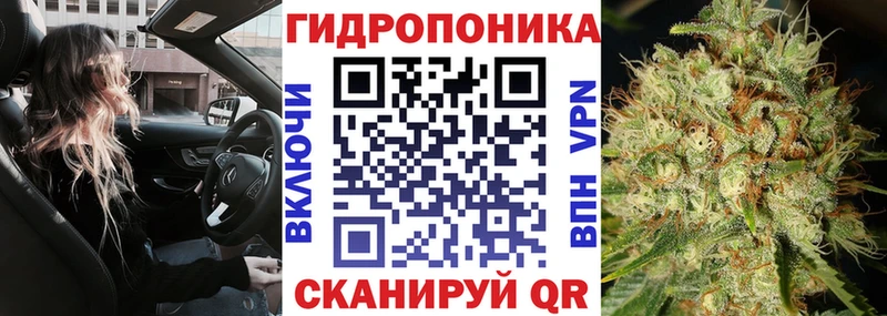 Конопля Amnesia  продажа наркотиков  Рыбное 